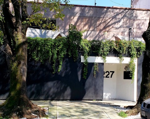 싱귤러 골드스미스