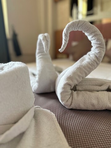 디바스 실버 호텔