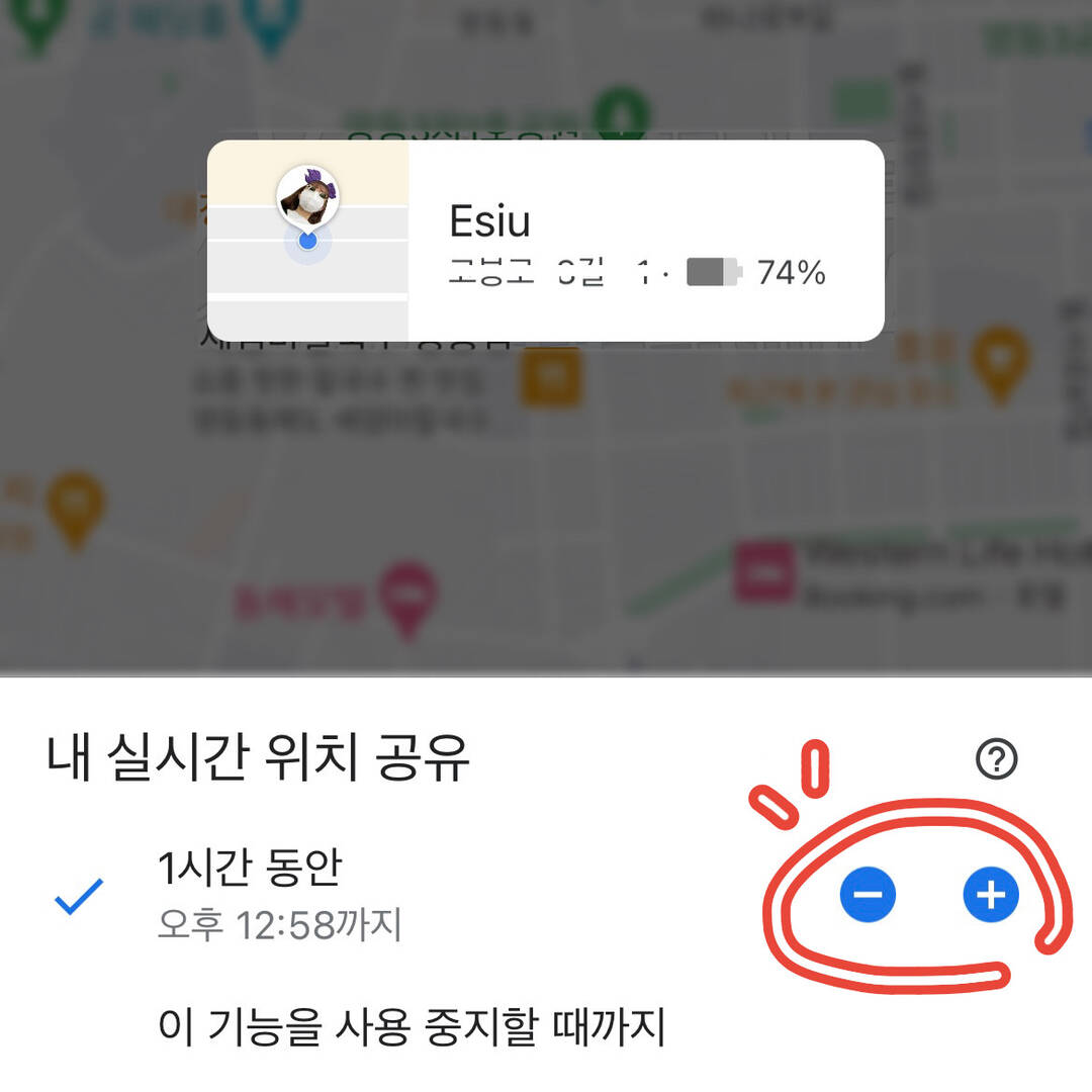 뉴욕, 라스베가스 외 15개-자유톡3