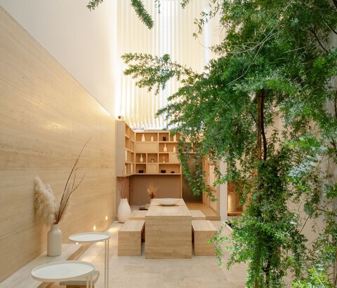 료 칸 시우다드 데 멕시코