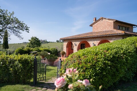 폰테 드 메디시