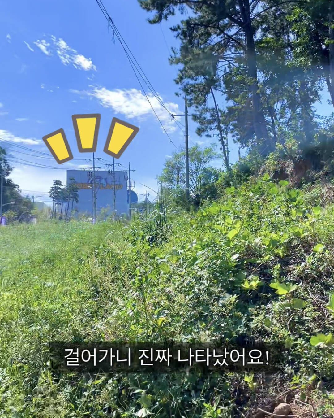창원-장소8