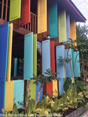 블루 베르드 아이 엠 컬러스