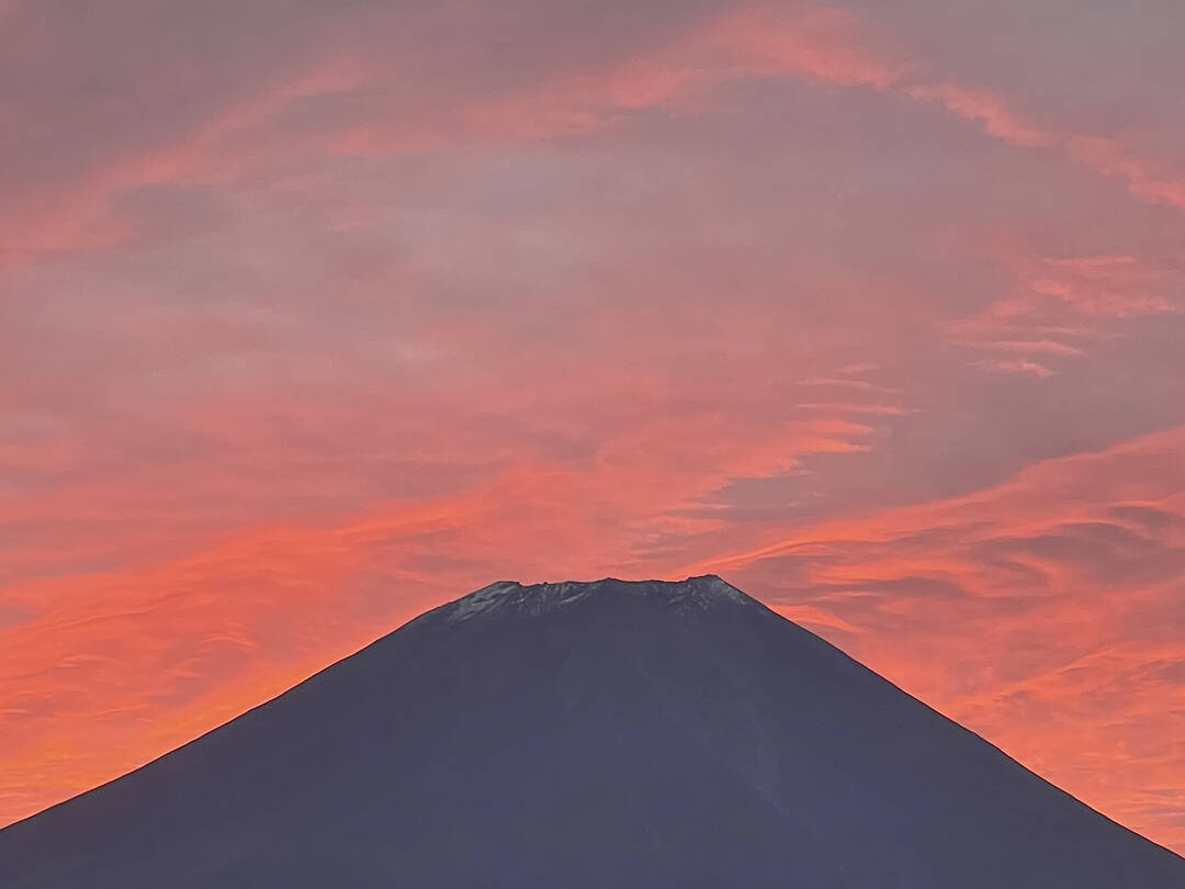 도쿄, 시즈오카-자유톡5