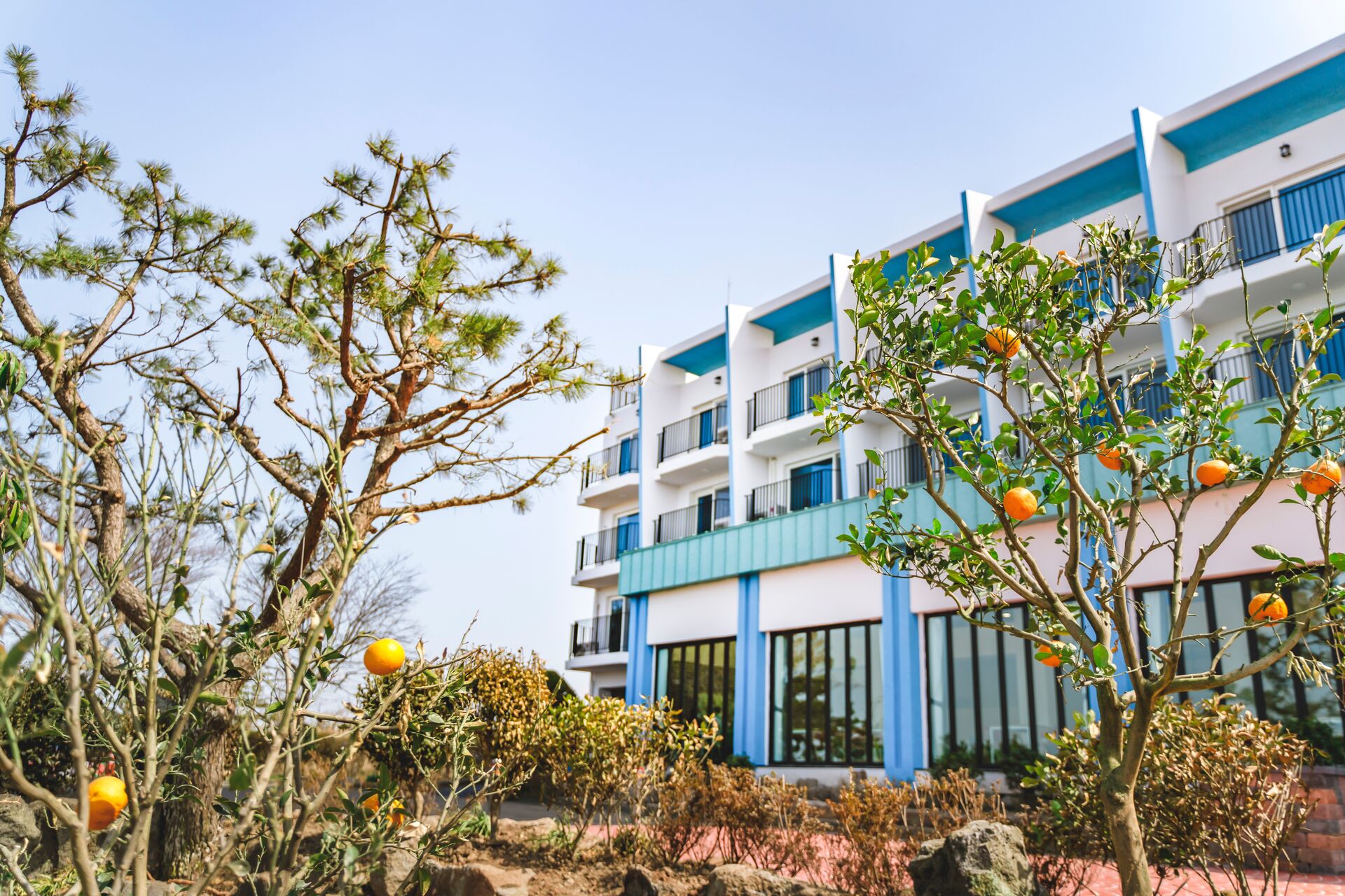 제주 한림리조트 외관