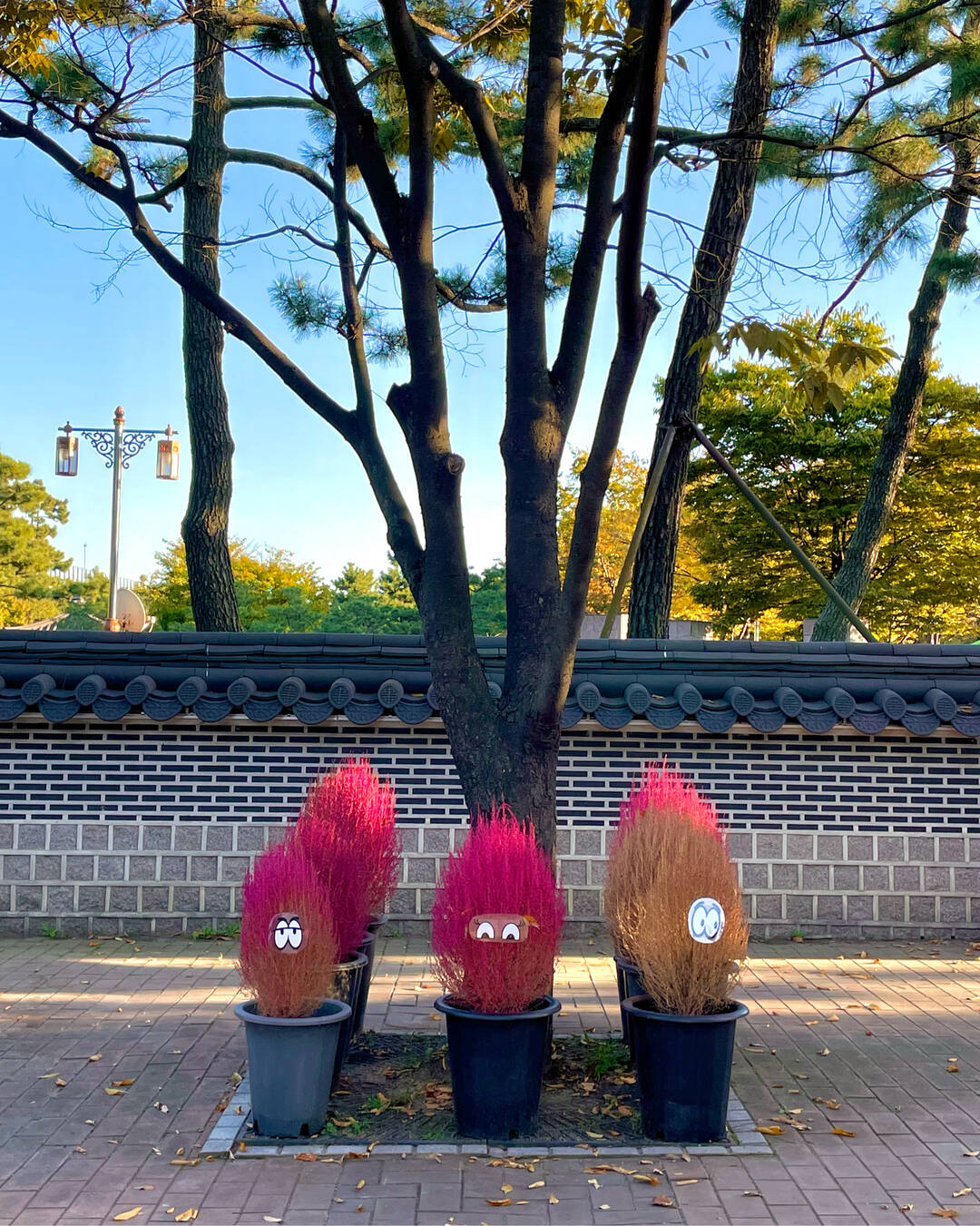 인천-장소1