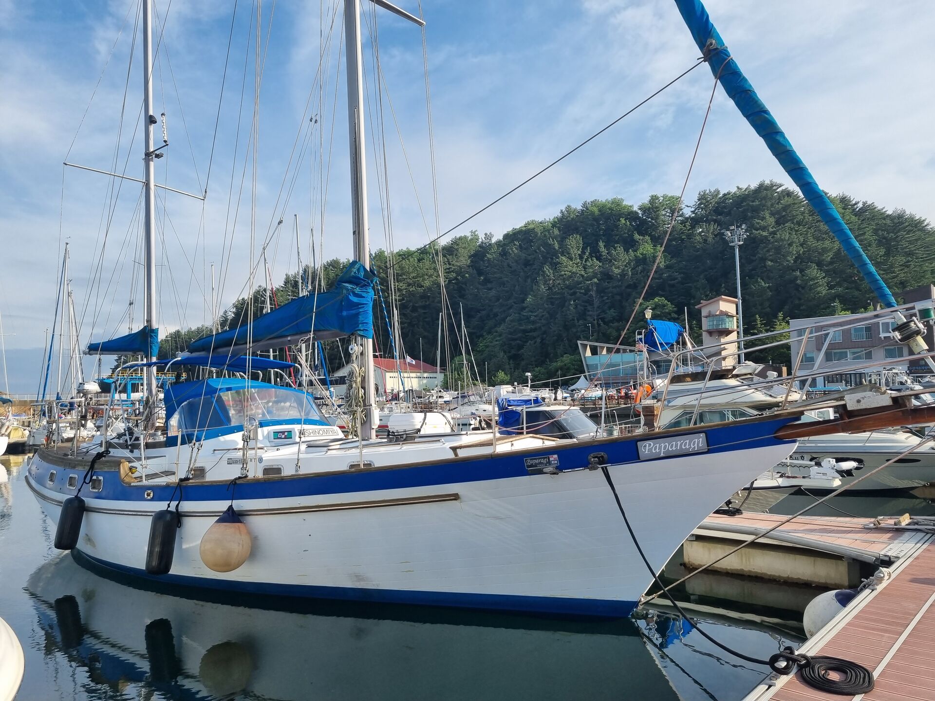 양양보난자요트투어