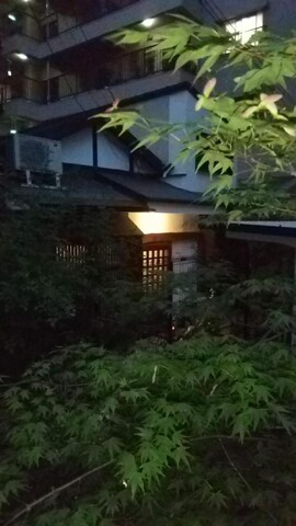 백 앨리 레지던스 히비