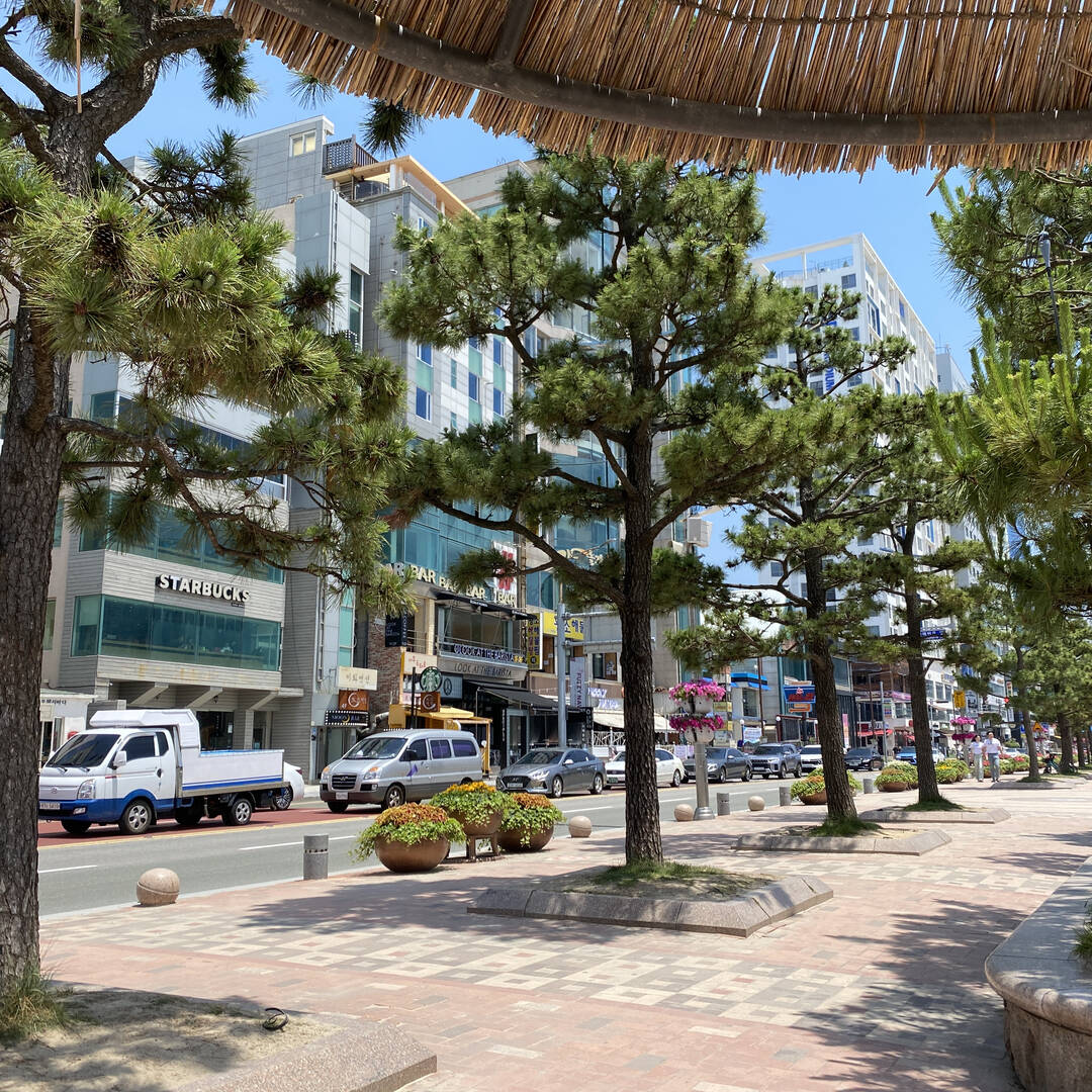 부산-자유톡1