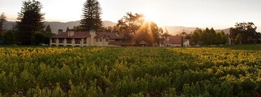 나파 밸리 로지