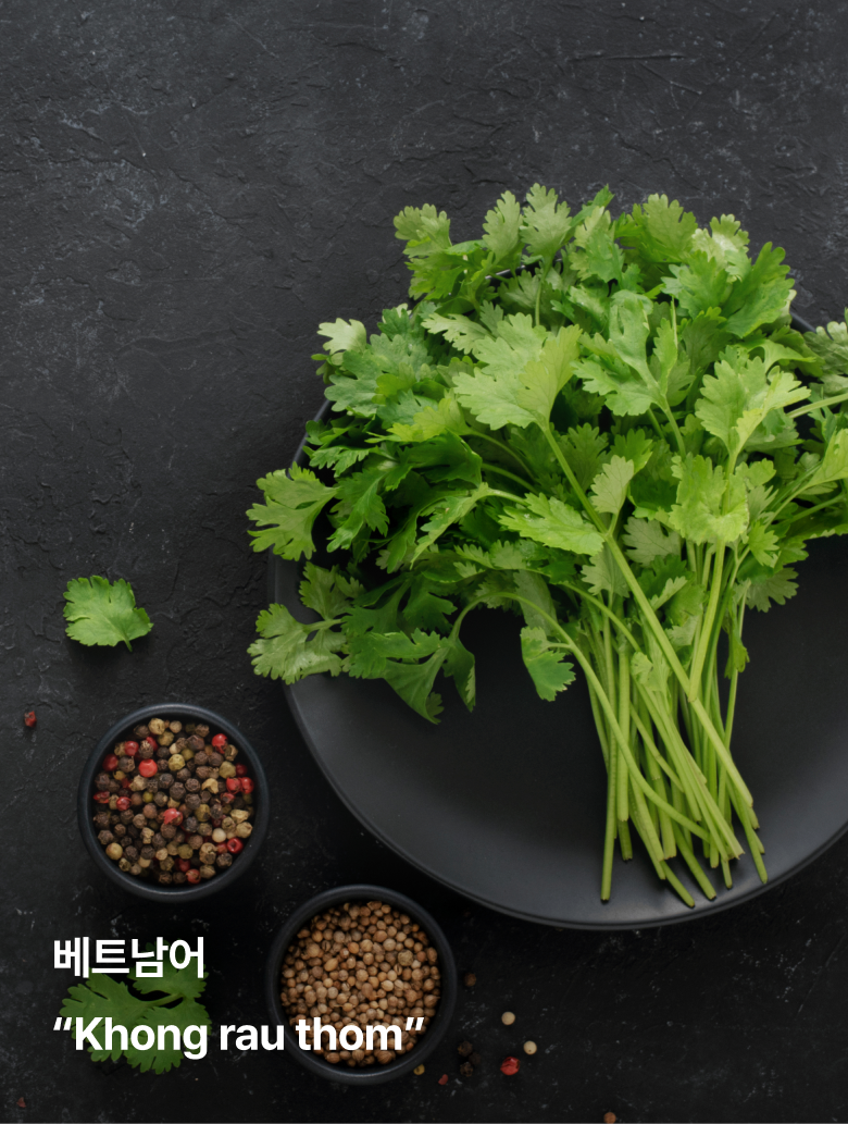 다낭, 방콕-자유톡1