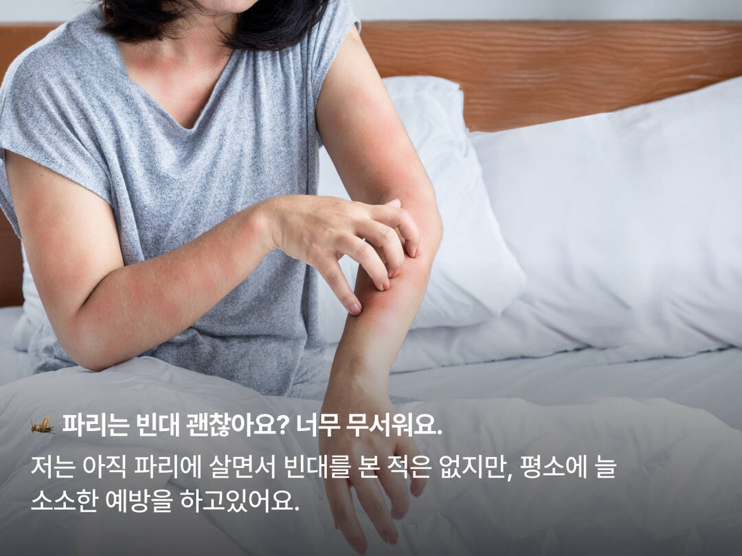 파리-장소,질문3