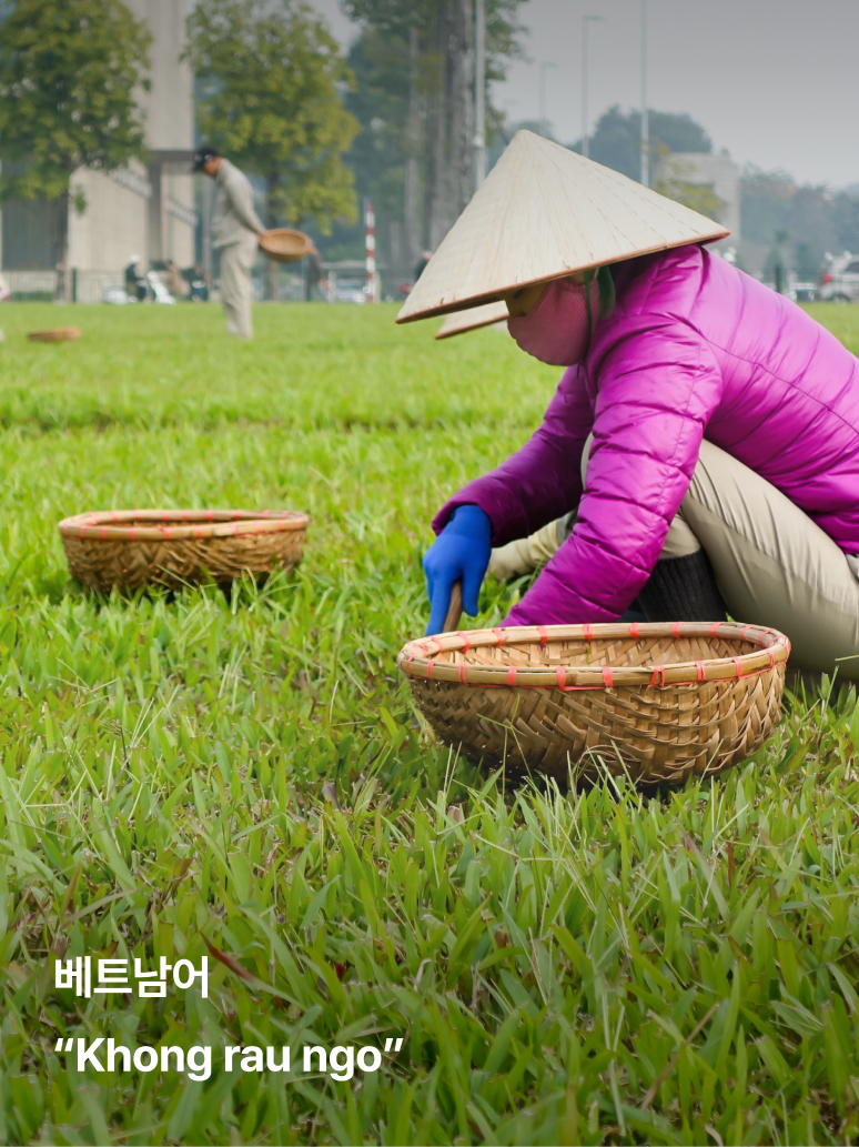 다낭, 방콕-자유톡3