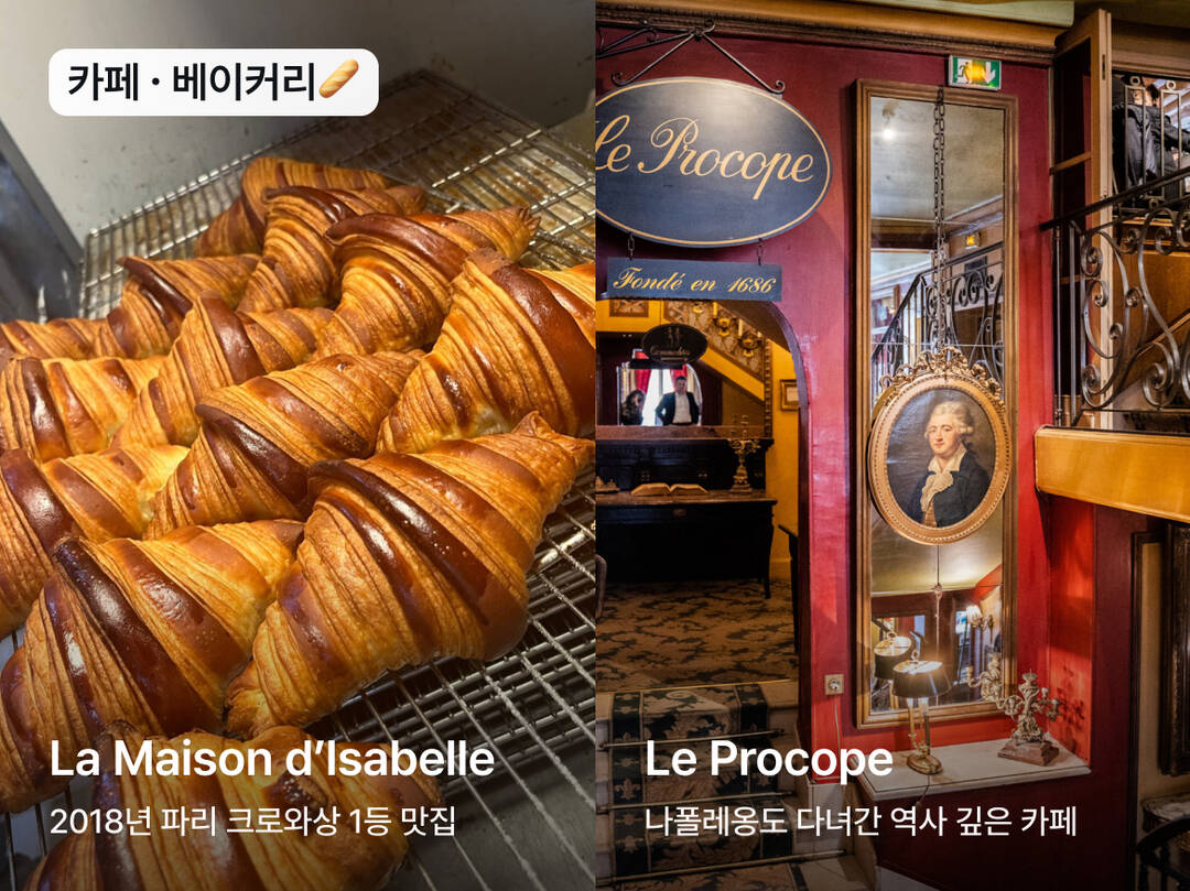 파리-질문6