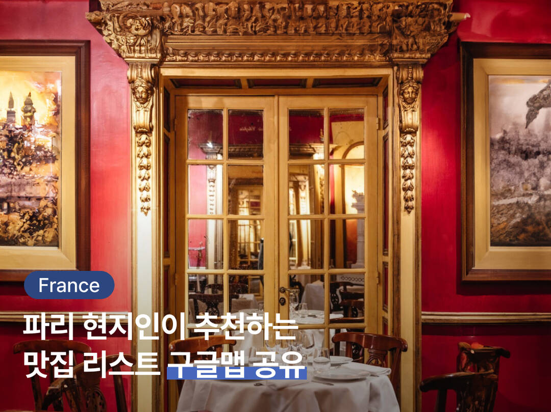 파리-질문0