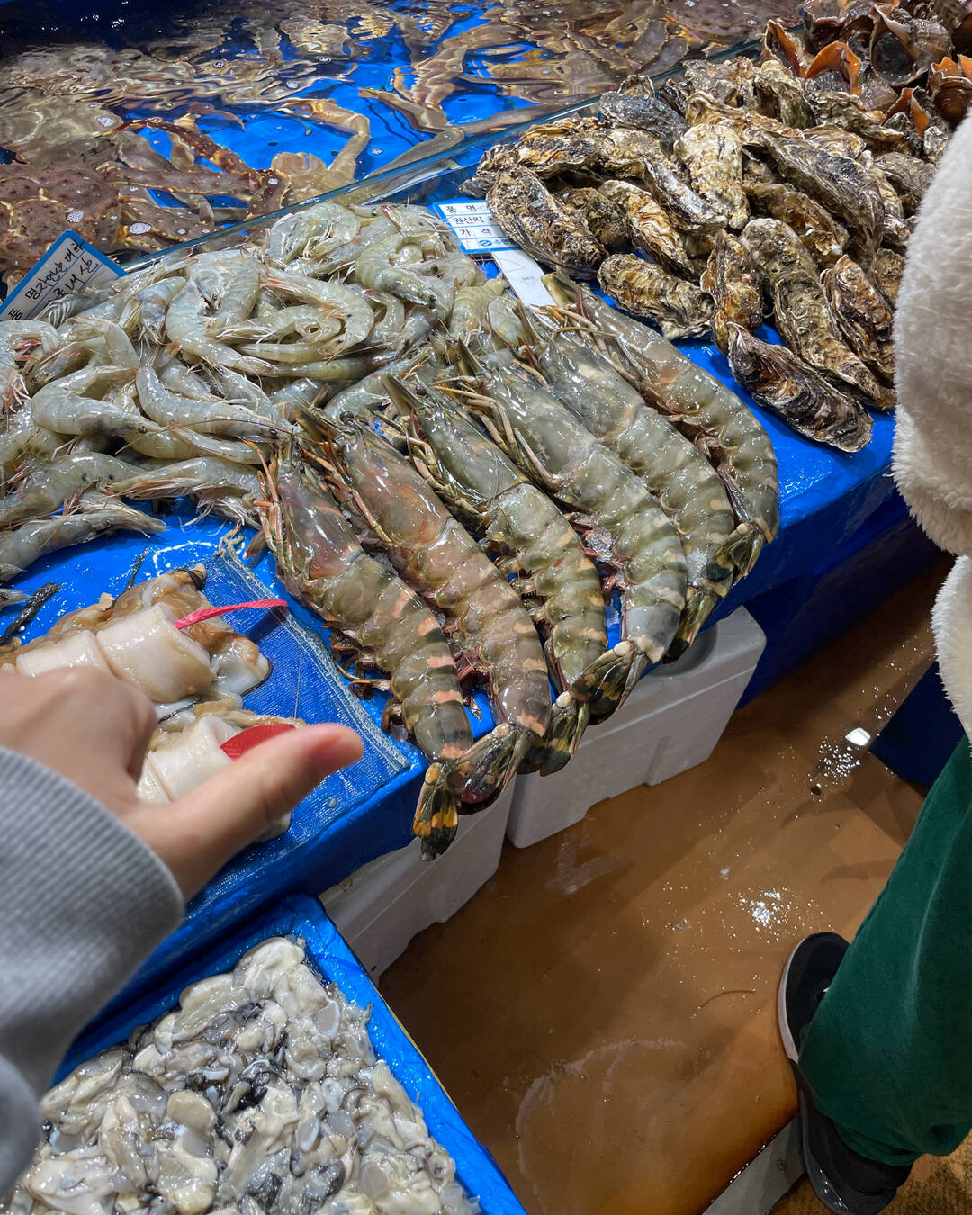 서울-맛집,여행후기2
