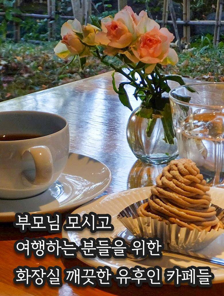 가고시마, 후쿠오카-자유톡,맛집0