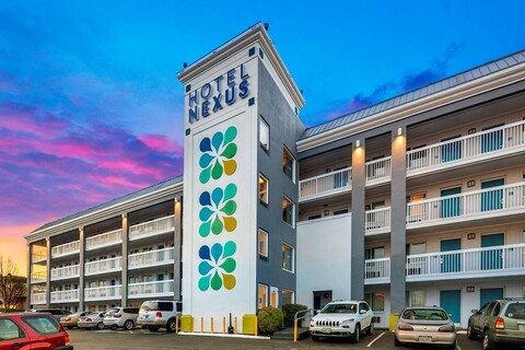 호텔 넥서스, BW 시그니처 컬렉션