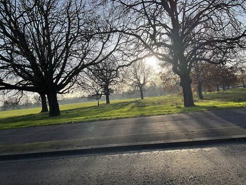 파크 뷰 레지던스-노스홀트 - 근처 튜브