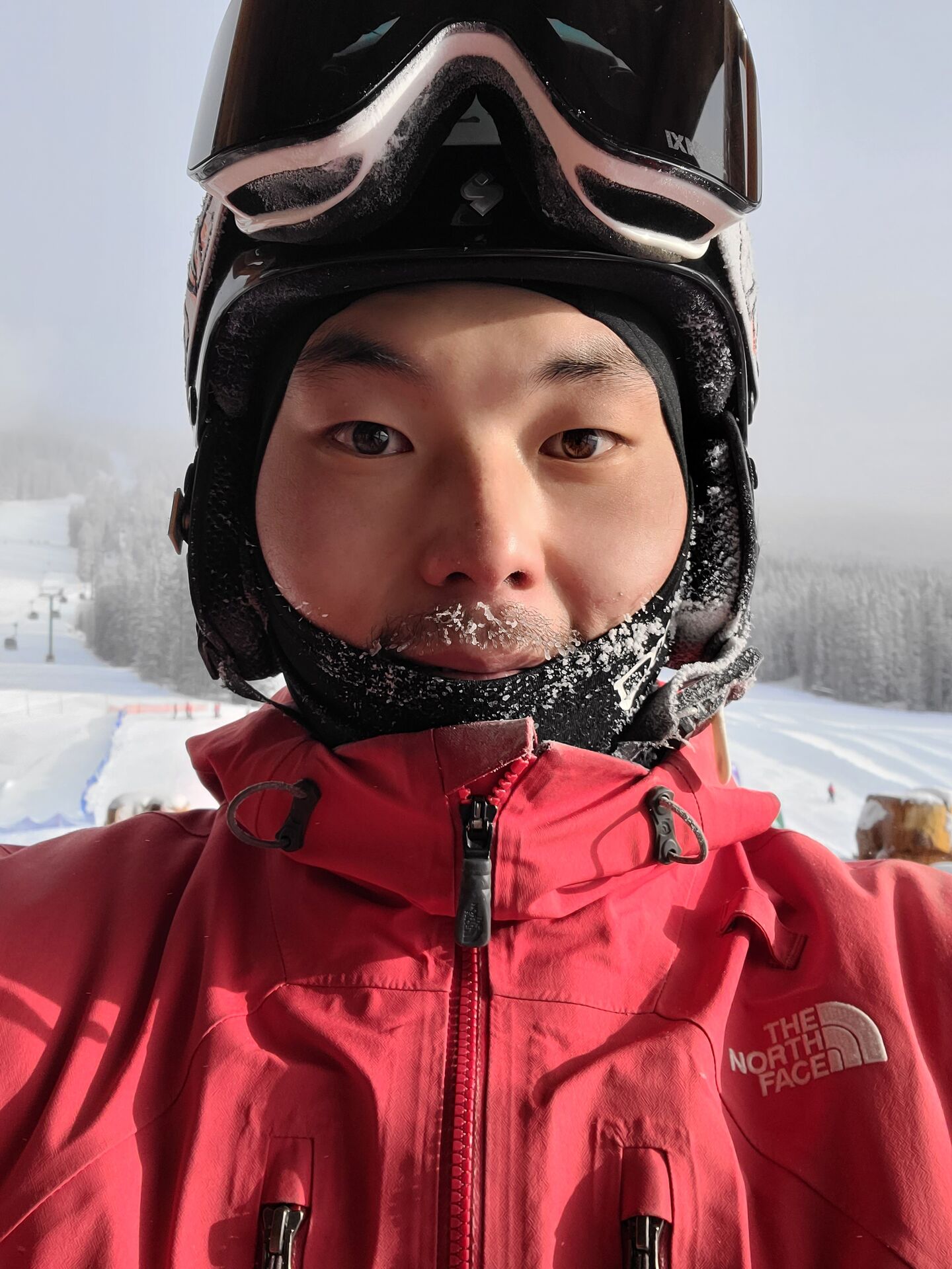 노아
