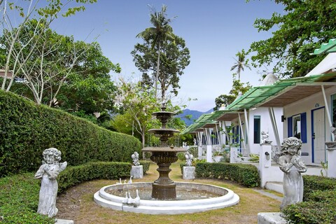 더 화이트 놋 코창