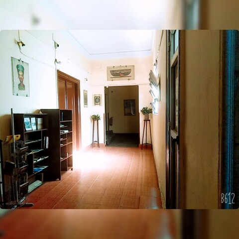 뉴 팰리스 호텔