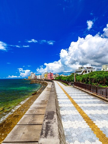 미스터 킨조 인 그랜드 블루 챠탄