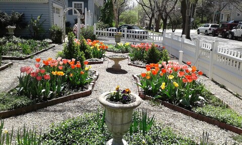 무어 하우스 B&B