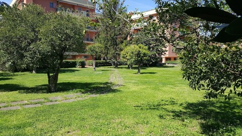 레몬 룸스 소렌토