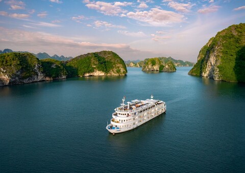 디 아우 꺼 크루즈