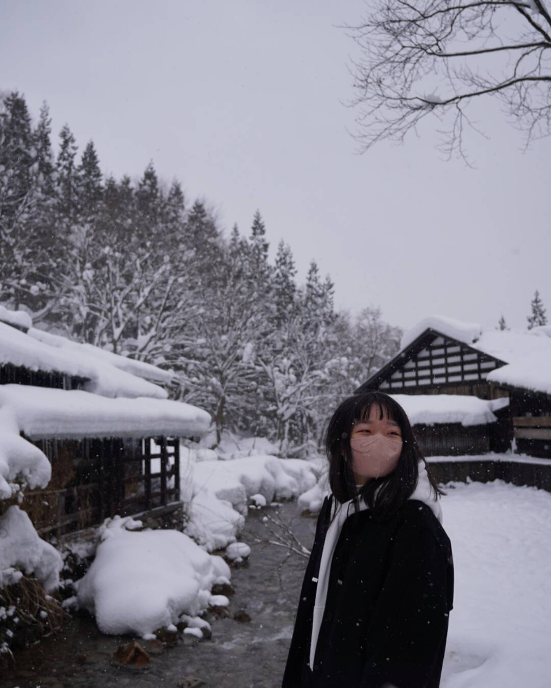 도쿄에서 아오모리까지! JR동일본 패스로 떠난 겨울 여행