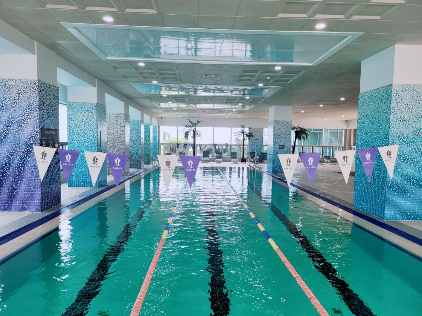 팔레드시즈 수영장