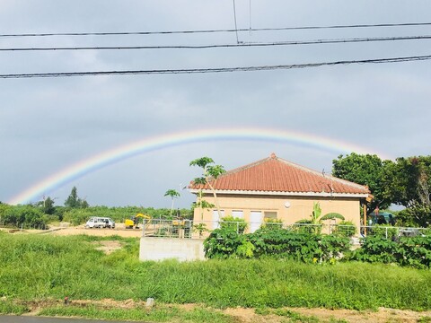 할리 할리 하우스