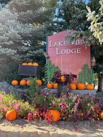 레이크 뷰 로지