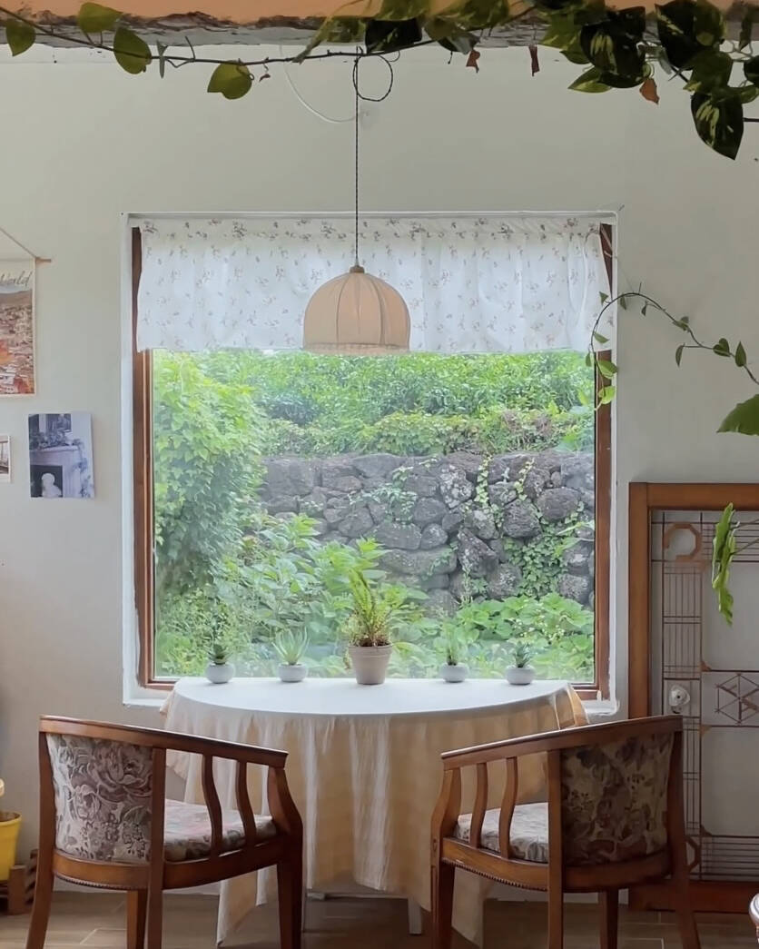 제주 동쪽 감성카페 여름정원🌱 :마이리얼트립 제주도여행