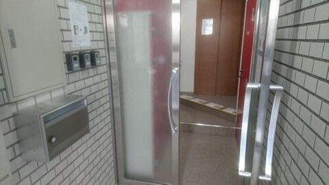 혼도리 인