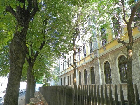 아이엘로 스위트 이그제큐티브