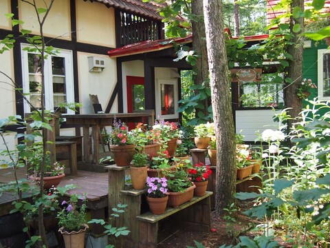 더 스쿼럴스 게스트하우스 캔터베리