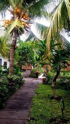 마미 인 홈스테이