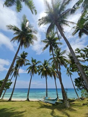 Camotes Palanas Beach Stay