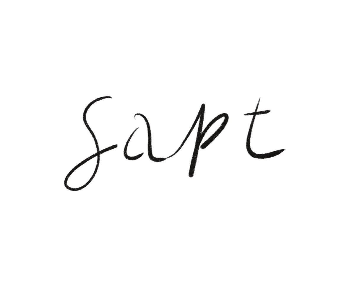 사프트(sapt)