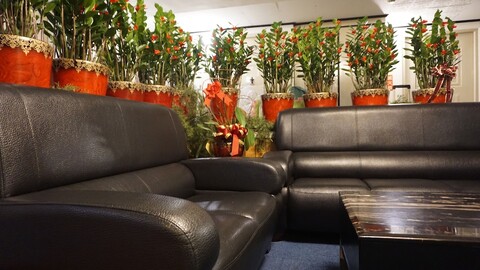 치안후에이 비즈니스 호텔