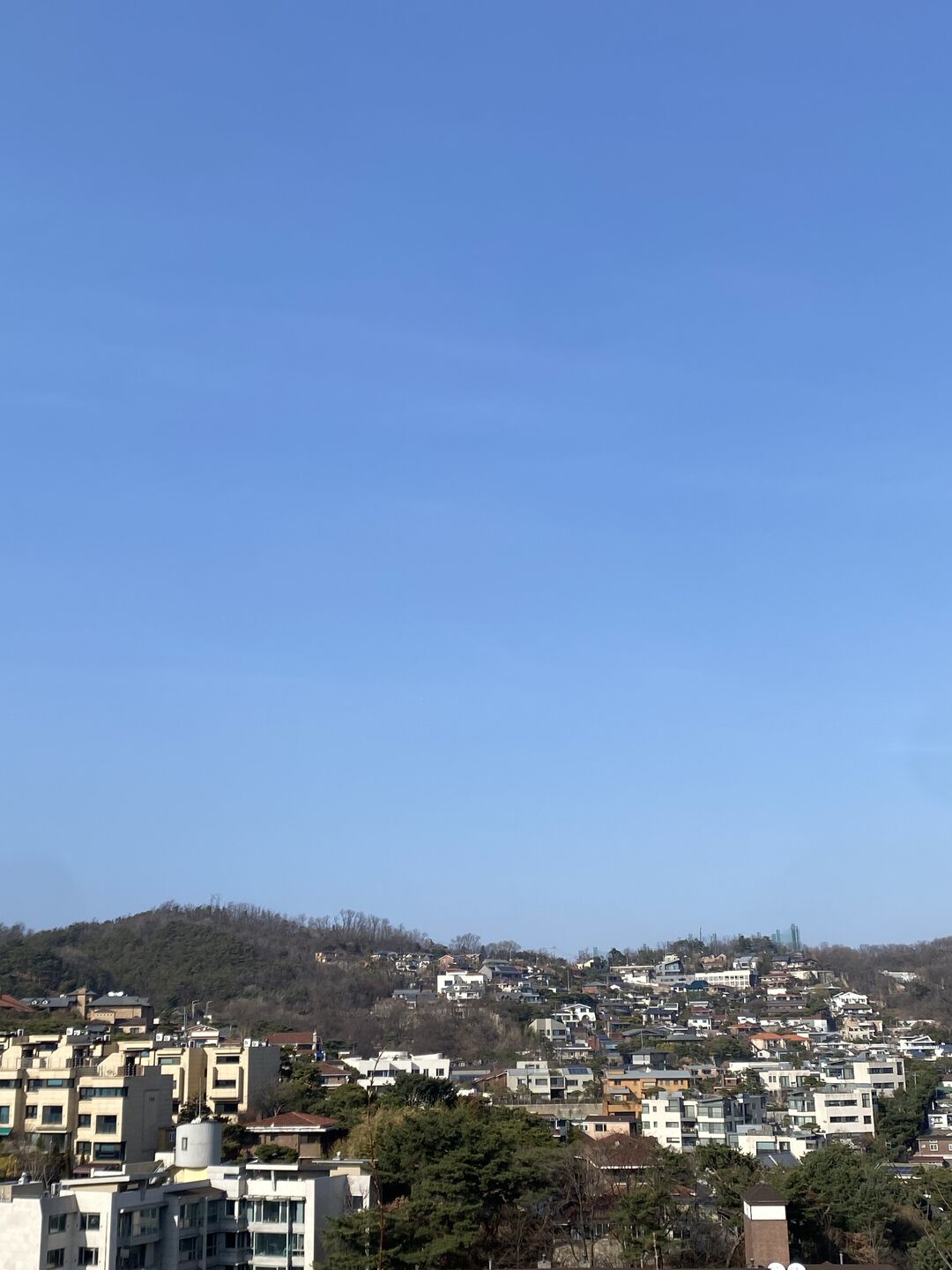 후기 사진