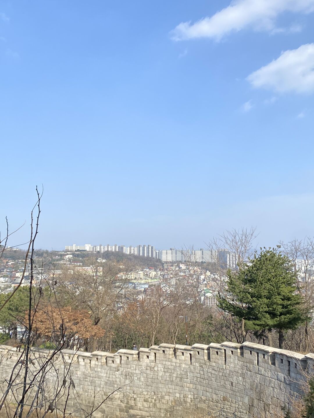 후기 사진