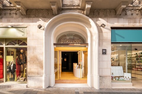 바이 필로우 모선