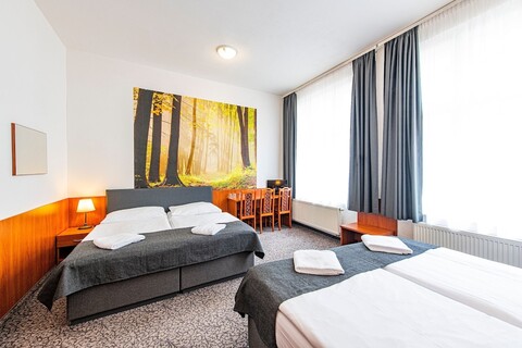 호텔 즐라타 바하