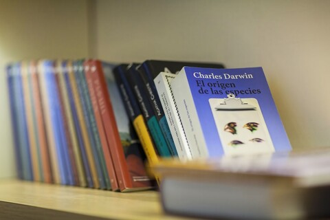 코코 맷 호텔 나프시카