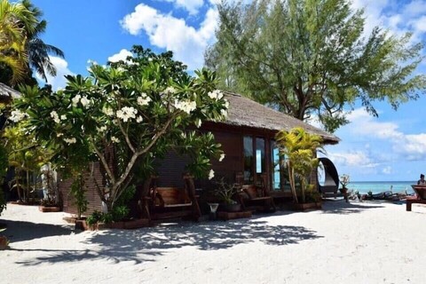 안다 리조트 코리뻬