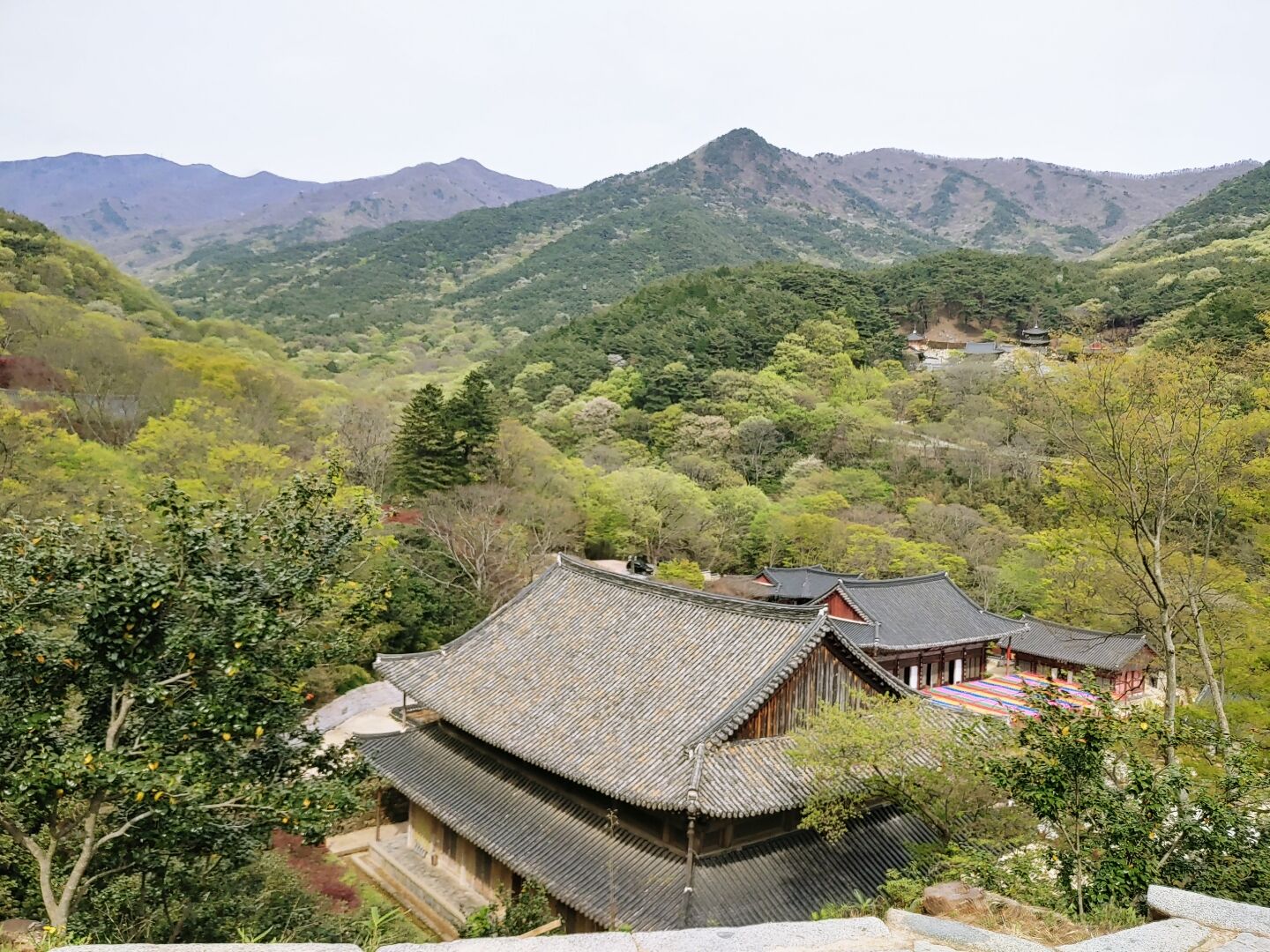 후기 사진