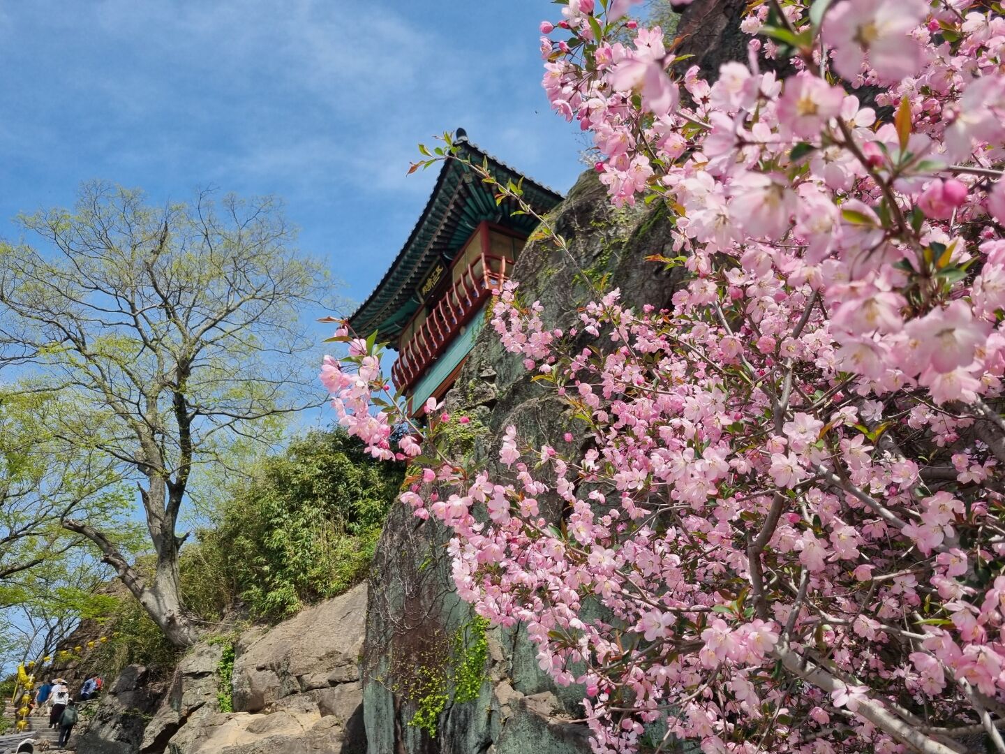 후기 사진